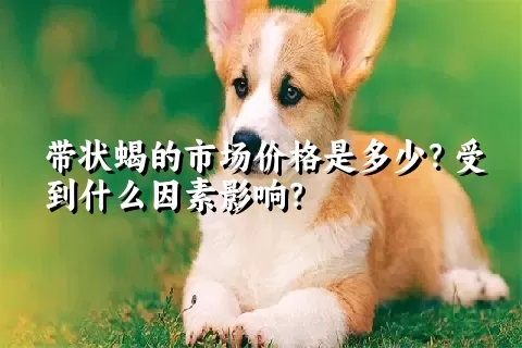 带状蝎的市场价格是多少？受到什么因素影响？