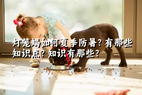 灯笼蝎如何夏季防暑？有那些知识点？知识有那些？