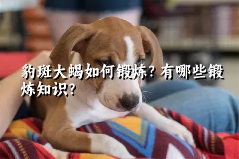 豹斑大蝎如何锻炼？有哪些锻炼知识？