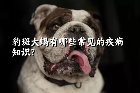 豹斑大蝎有哪些常见的疾病知识？