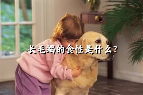 长毛蝎的食性是什么？