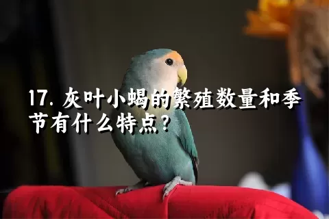 灰叶小蝎的繁殖数量和季节有什么特点？