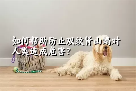 如何帮助防止双纹肾山蝎对人类造成危害？