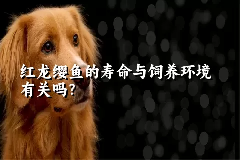 红龙缨鱼的寿命与饲养环境有关吗？