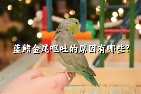 蓝鳍金尾呕吐的原因有哪些?