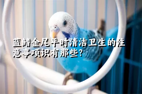 蓝鳍金尾平时清洁卫生的注意事项识有那些？ 