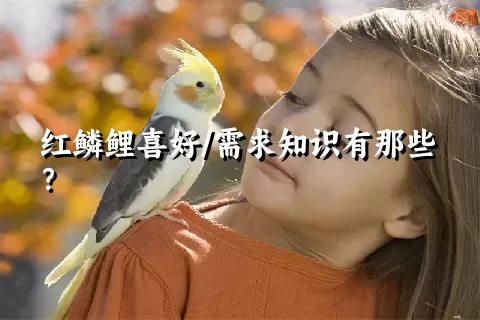 红鳞鲤喜好/需求知识有那些？