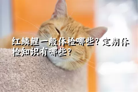 红鳞鲤一般体检哪些？定期体检知识有哪些？