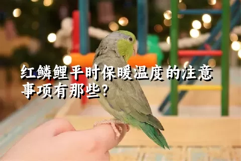 红鳞鲤平时保暖温度的注意事项有那些？ 