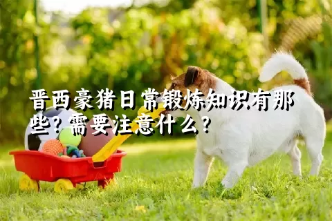 晋西豪猪日常锻炼知识有那些？需要注意什么？