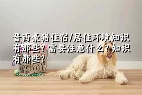 晋西豪猪住宿/居住环境知识有那些？需要注意什么？知识有那些？