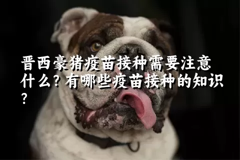 晋西豪猪疫苗接种需要注意什么？有哪些疫苗接种的知识？