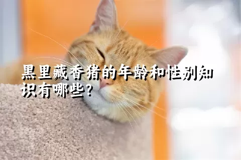 黑里藏香猪的年龄和性别知识有哪些？