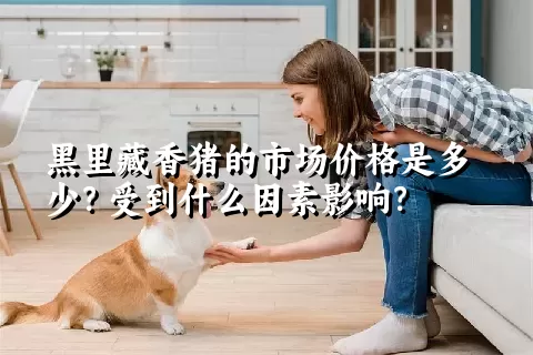 黑里藏香猪的市场价格是多少？受到什么因素影响？