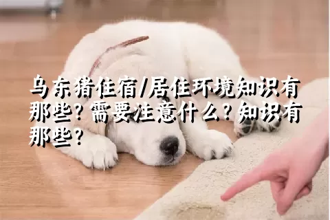 乌东猪住宿/居住环境知识有那些？需要注意什么？知识有那些？