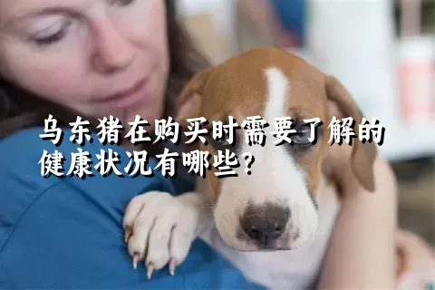 乌东猪在购买时需要了解的健康状况有哪些？