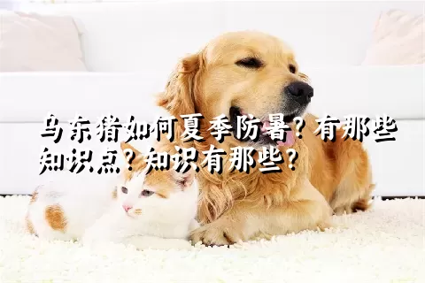 乌东猪如何夏季防暑？有那些知识点？知识有那些？