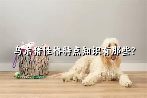 乌东猪性格特点知识有那些？