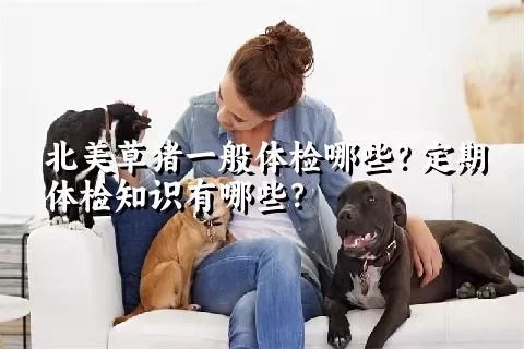 北美草猪一般体检哪些？定期体检知识有哪些？