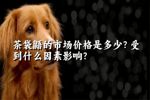 茶袋鼯的市场价格是多少？受到什么因素影响？