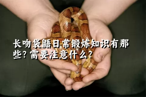 长吻袋鼯日常锻炼知识有那些？需要注意什么？