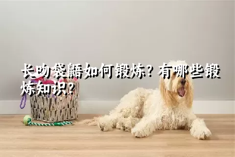 长吻袋鼯如何锻炼？有哪些锻炼知识？