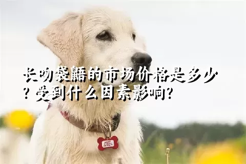 长吻袋鼯的市场价格是多少？受到什么因素影响？