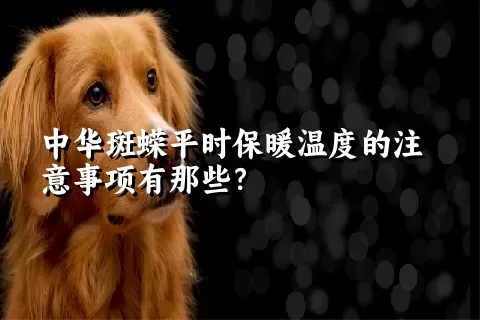 中华斑蝾平时保暖温度的注意事项有那些？ 