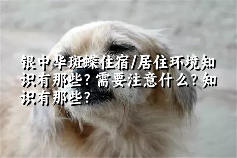 银中华斑蝾住宿/居住环境知识有那些？需要注意什么？知识有那些？