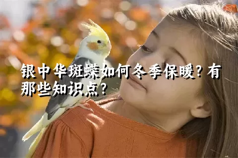 银中华斑蝾如何冬季保暖？有那些知识点？