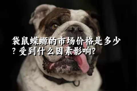 袋鼠蝾螈的市场价格是多少？受到什么因素影响？