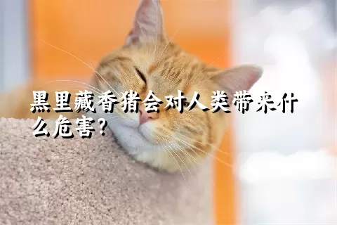 黑里藏香猪会对人类带来什么危害？