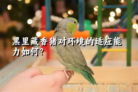 黑里藏香猪对环境的适应能力如何？