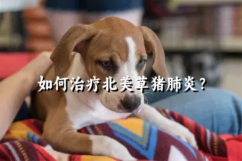 如何治疗北美草猪肺炎？