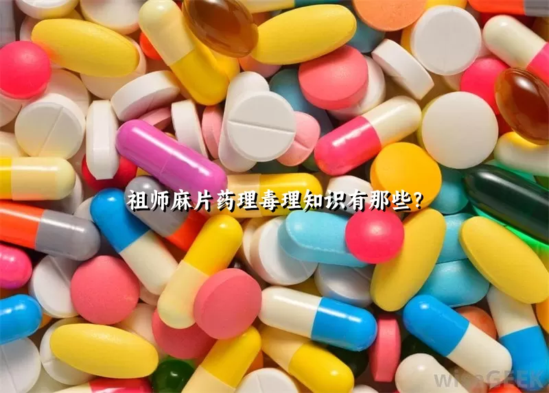 祖师麻片药理毒理知识有那些？