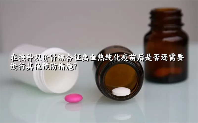 在接种双价肾综合征出血热纯化疫苗后是否还需要进行其他预防措施?