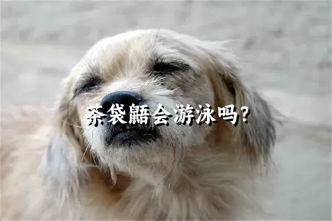 茶袋鼯会游泳吗？