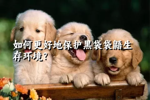 如何更好地保护黑袋袋鼯生存环境？