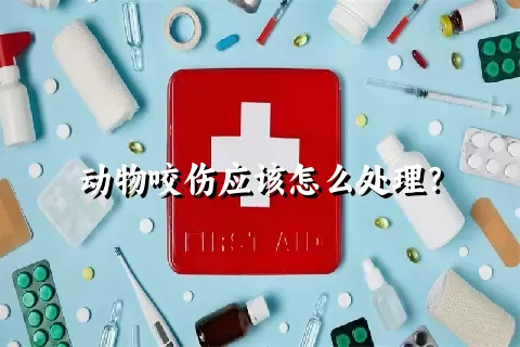 动物咬伤应该怎么处理？