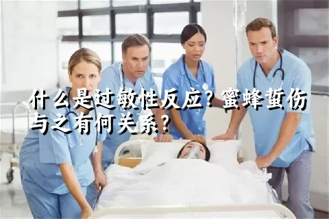 什么是过敏性反应？蜜蜂蜇伤与之有何关系？