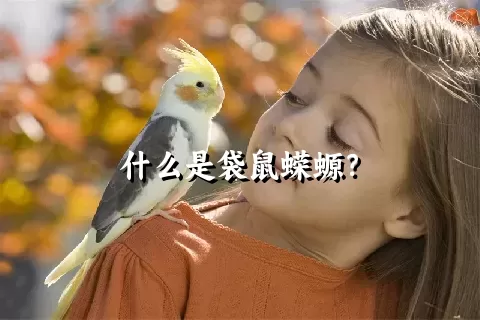 什么是袋鼠蝾螈？