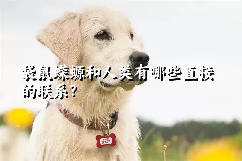 袋鼠蝾螈和人类有哪些直接的联系？