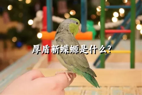 厚盾新蝾螈是什么?