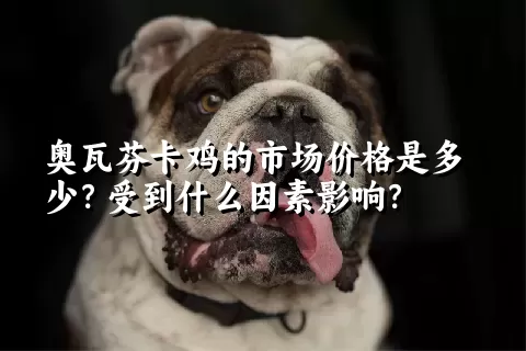 奥瓦芬卡鸡的市场价格是多少？受到什么因素影响？