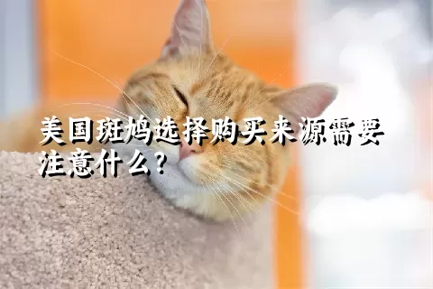 美国斑鸠选择购买来源需要注意什么？ 