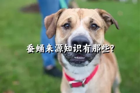 蚕蛹来源知识有那些?