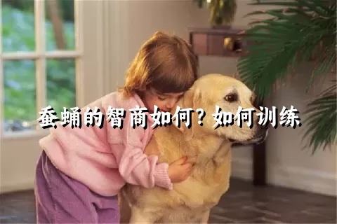 蚕蛹的智商如何？如何训练