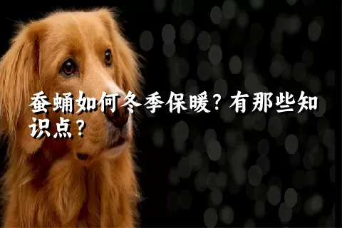 蚕蛹如何冬季保暖？有那些知识点？