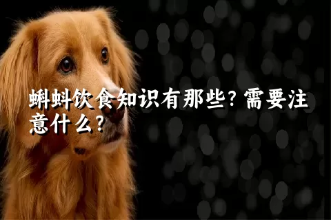 蝌蚪饮食知识有那些？需要注意什么？