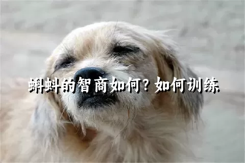 蝌蚪的智商如何？如何训练